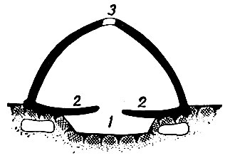 . 1-19.  : ><i>1</i> -   ; <i>2</i> -  ; <i>3</i> -    