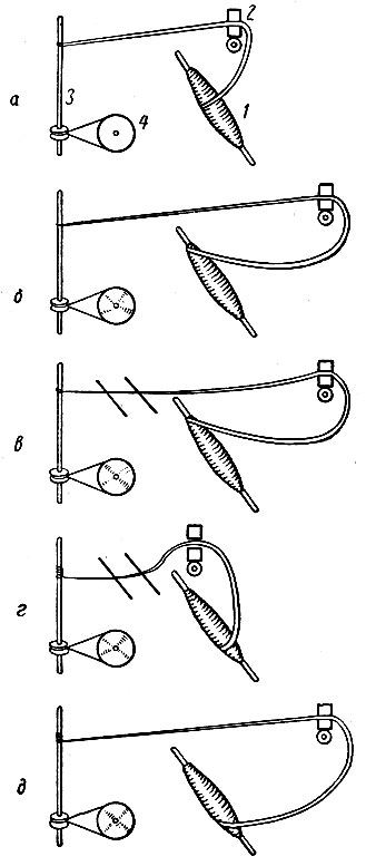 . 4-4.     '': ><i>1</i> - ; <i>2</i> - ; <i>3</i> -  ; <i>4</i> - 
