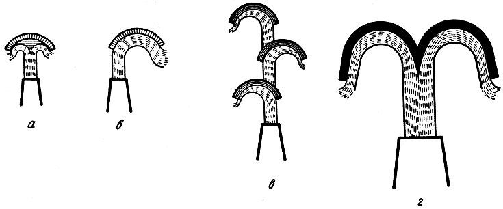 . 6-22.      : ><i></i> -  ; <i></i> -  ; <i></i> -     ; <i></i> -    
